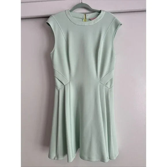 Ted Baker Size 4 US 10 Mint Green Skater Dress Scuba ASO Amal Clooney Round  Neck